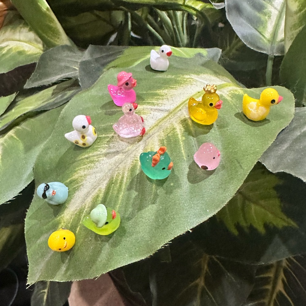 🍃10 pack DUCK PALS PLANT MAGNETS!🍃